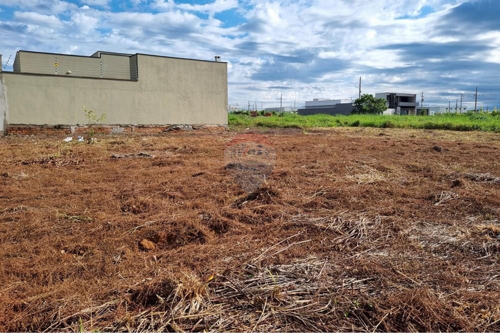 Terreno - Venda - Confresa , Mato Grosso - WhatsApp Image 2026-01-27 at 10.43.34.jpeg - 720641046-17