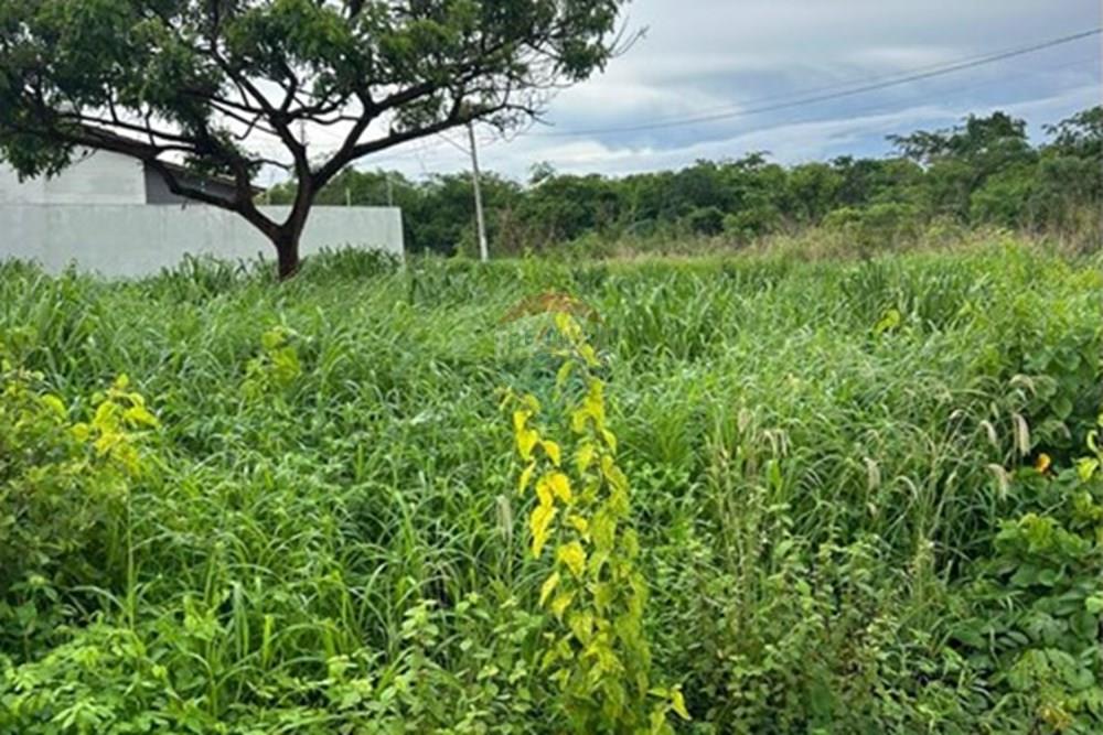 Terreno - Venda - Rondonópolis , Mato Grosso - WhatsApp Image 2026-01-16 at 14.52.45 (3).jpeg - 720851039-19