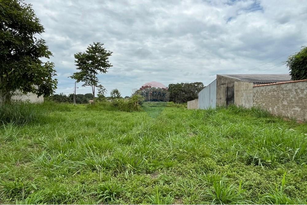 Terreno - Venda - Ji-Paraná , Rondônia - 94b44eb0-d8f9-4602-ad46-44456e3ba8d2.jpeg - 722391001-32