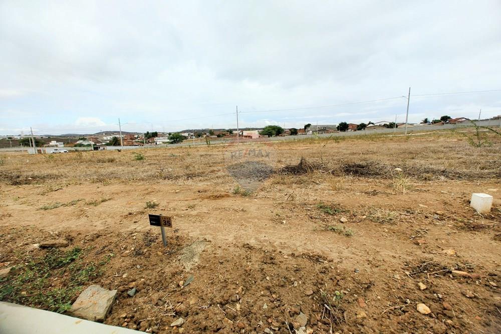 Terreno - Venda - Campina Grande , Paraíba - IMG_20260206_095151485~2.jpg - 720881010-203