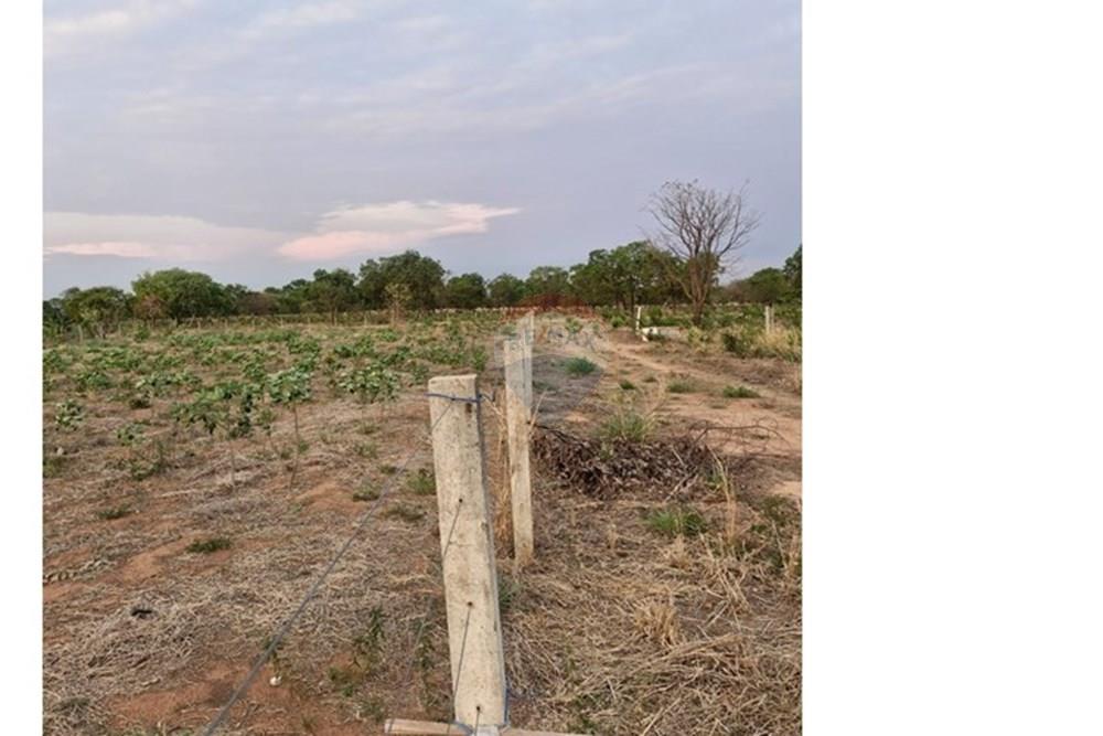 Chácara / Sítio / Fazenda - Venda - Rondonópolis , Mato Grosso - IMG-20251027-WA0031.jpg - 721981068-22