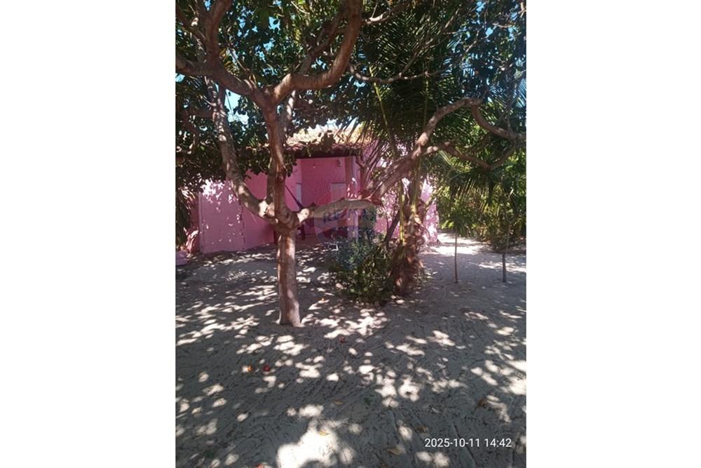 Chácara / Sítio / Fazenda - Venda - Parnaíba , Piauí - WhatsApp Image 2025-10-15 at 09.35.37 (1).jpeg - 722361007-3