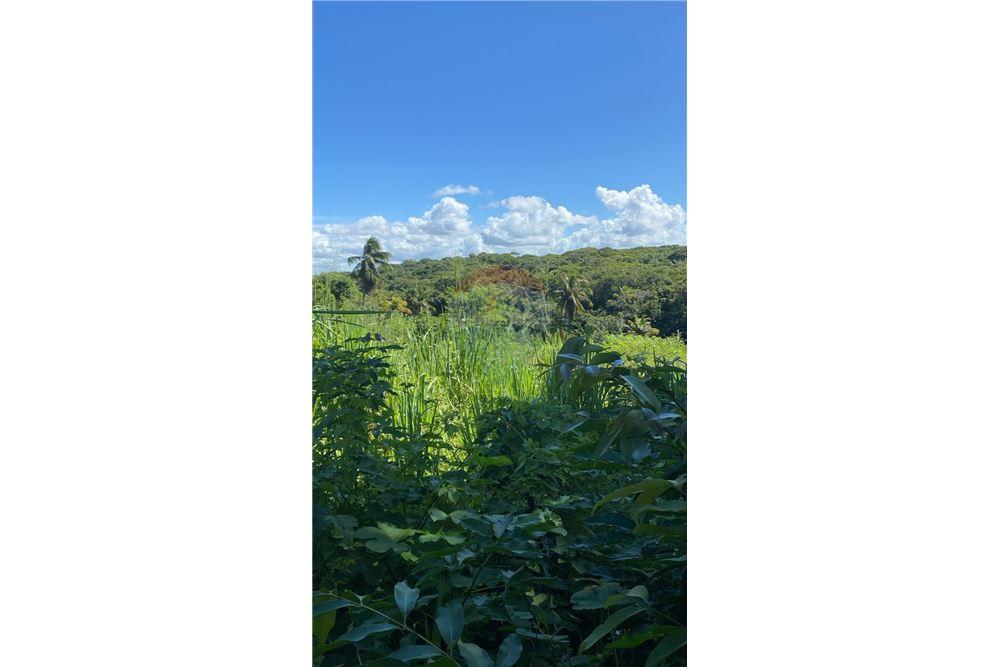 Residential - Ladang - Nísia Floresta , Rio Grande do Norte - BR - 10 - 720891068-68