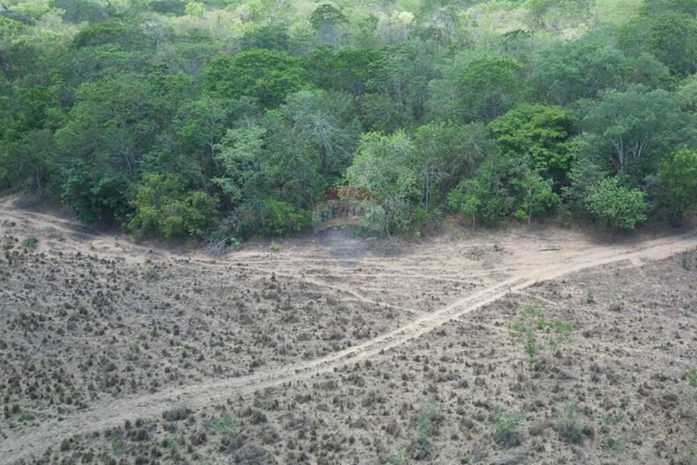 Chácara / Sítio / Fazenda - Venda - Dom Aquino , Mato Grosso - IMG_7834.JPG - 720611016-36