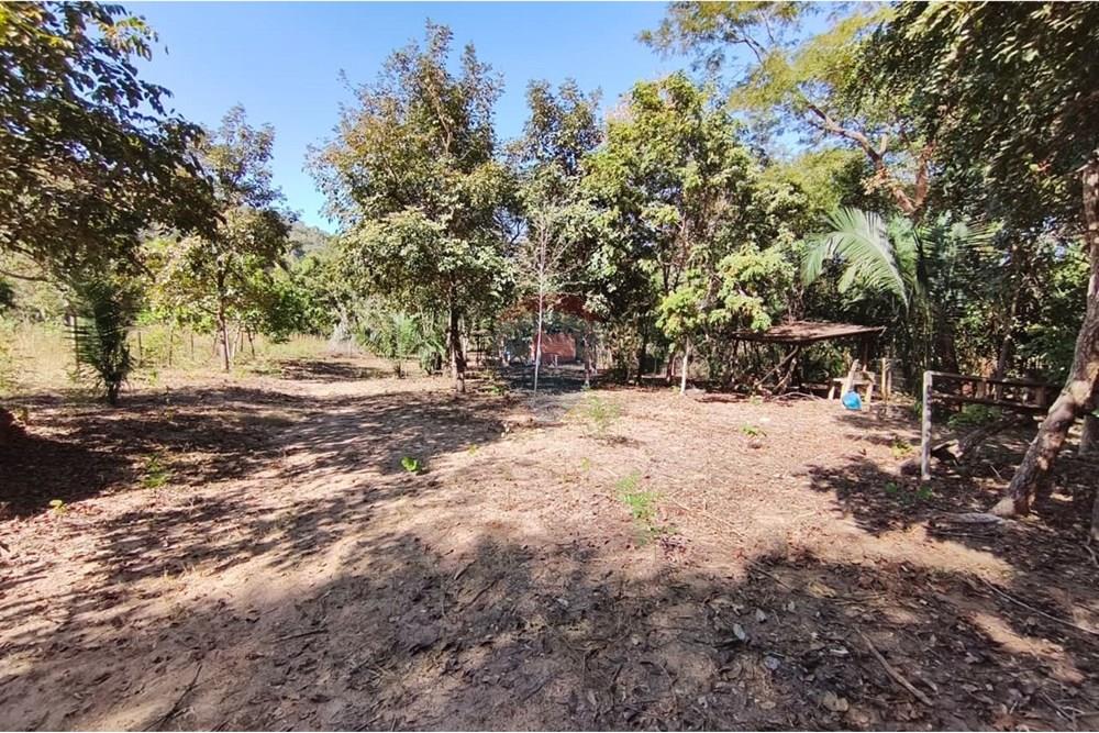 Terreno - Venda - Rondonópolis , Mato Grosso - Imagem do WhatsApp de 2025-08-21 à(s) 13.38.54_f760681a.jpg - 722261012-23