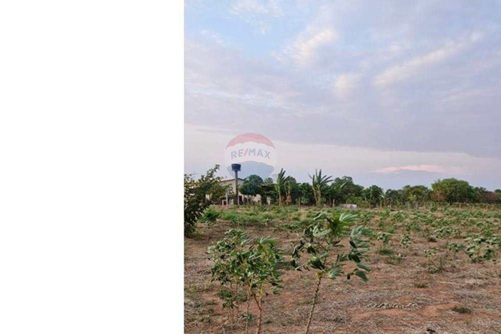 Chácara / Sítio / Fazenda - Venda - Rondonópolis , Mato Grosso - IMG-20251027-WA0028.jpg - 721981068-22