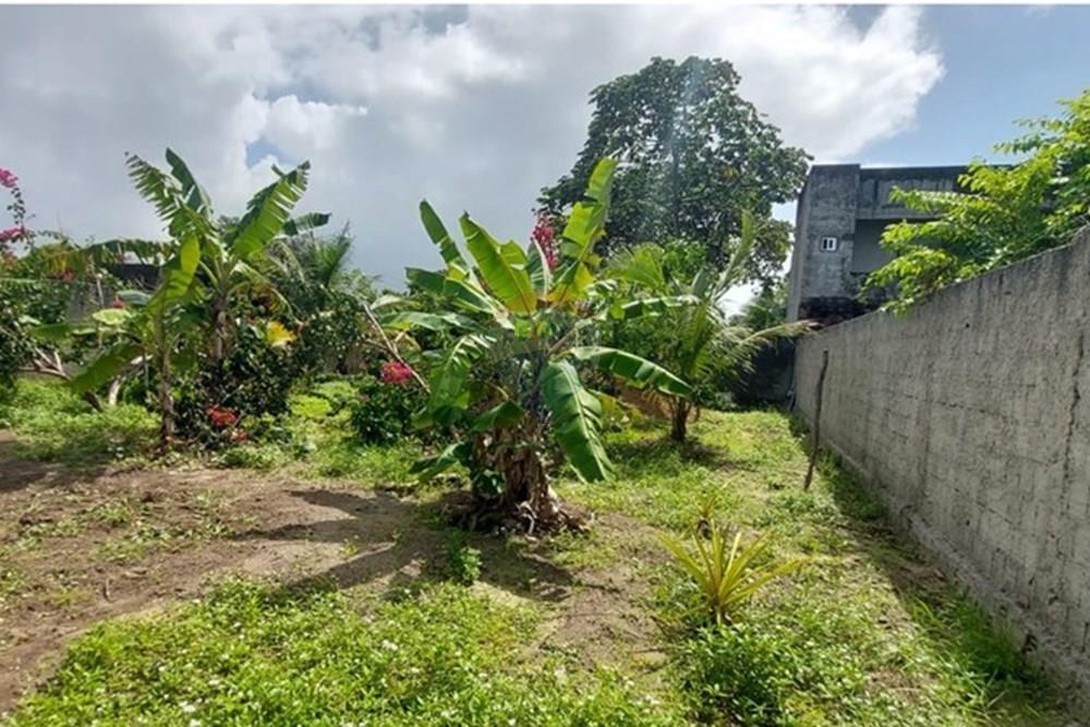 Terreno - Venda - Conde , Paraíba - IMG-20250619-WA0297.jpg - 720871031-86