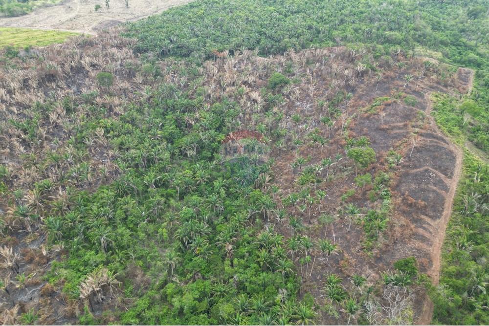 Chácara / Sítio / Fazenda - Venda - Araguaína , Tocantins - DJI_0046.JPG - 720991045-15