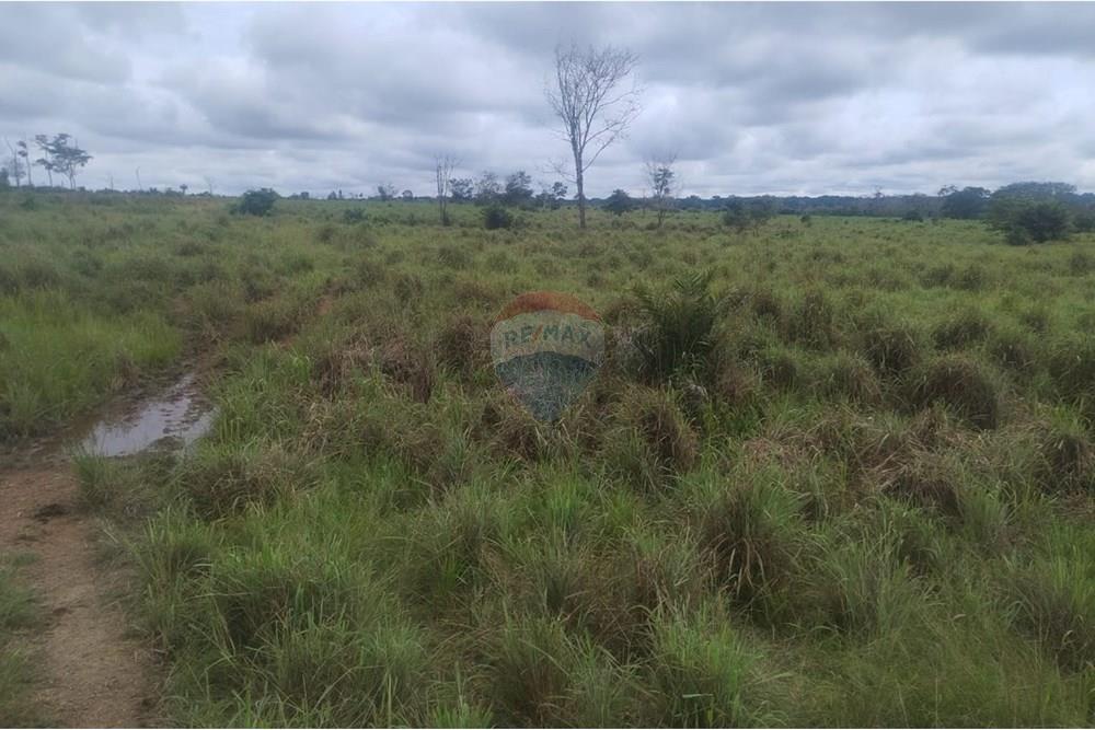 Chácara / Sítio / Fazenda - Venda - Confresa , Mato Grosso - IMG-20250926-WA0033.jpg - 720641046-10