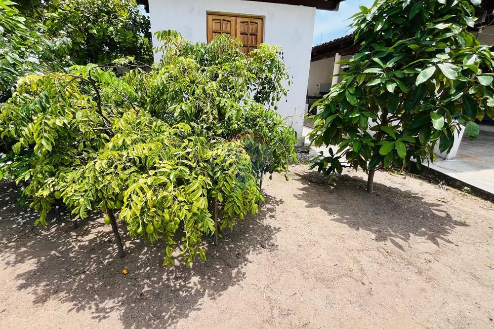 Casa - Venda - Conde , Paraíba - WhatsApp Image 2026-01-31 at 14.25.07 (2).jpeg - 720871004-227