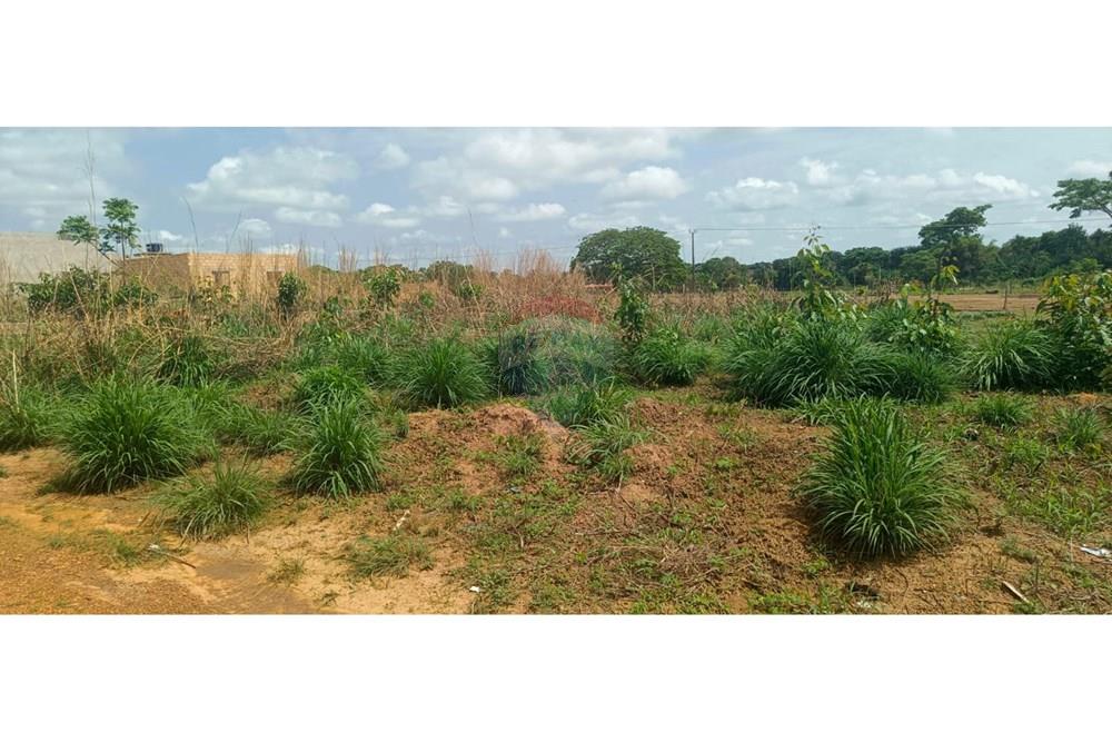 Terreno - Venda - Confresa , Mato Grosso - 35c9e35c-4511-4512-9308-cb9ea298c956.jpg - 720641031-26