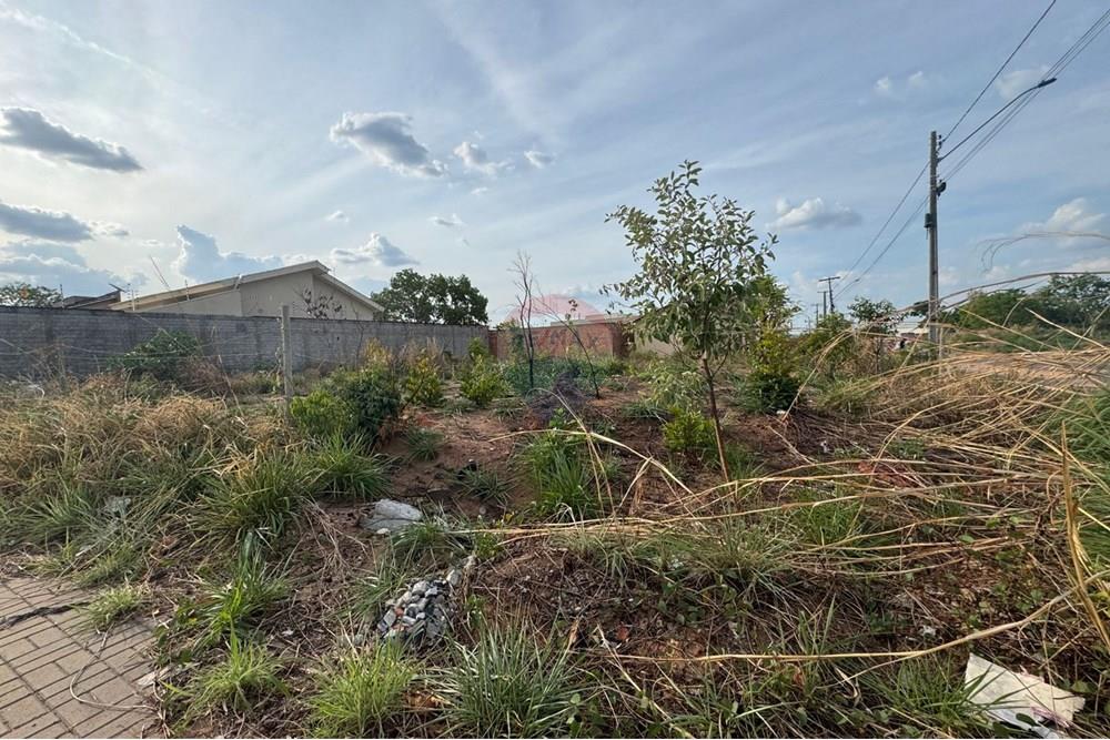 Terreno - Venda - Araguaína , Tocantins - PHOTO-2025-10-07-12-21-05 (1).jpg - 720991008-78
