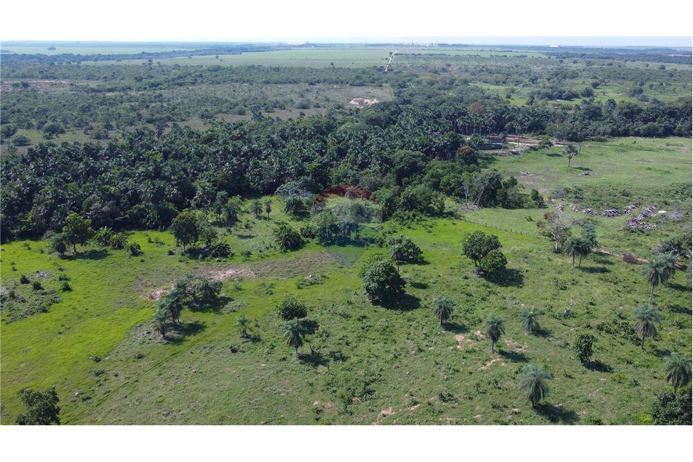 Chácara / Sítio / Fazenda - Venda - Porto Alegre do Norte , Mato Grosso - 14 - 720641031-14