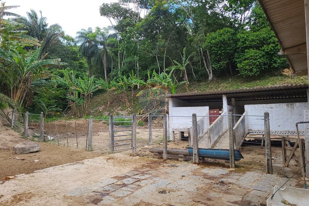 Chácara / Sítio / Fazenda - Venda - Areia , Paraíba - DJI_20230206_112232_610.jpg - 722011055-52