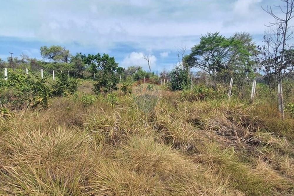 Terreno - Venda - Conde , Paraíba - a384a291-c8f6-43e6-b532-839dc54fc90c.jpeg - 720471019-134