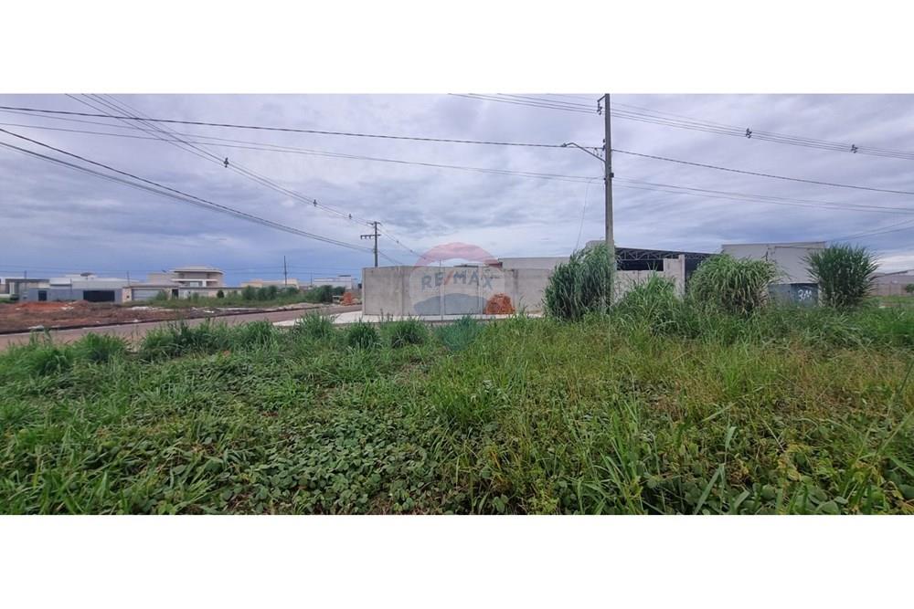 Terreno - Venda - Confresa , Mato Grosso - WhatsApp Image 2025-03-21 at 15.32.08 (2).jpeg - 720641029-43