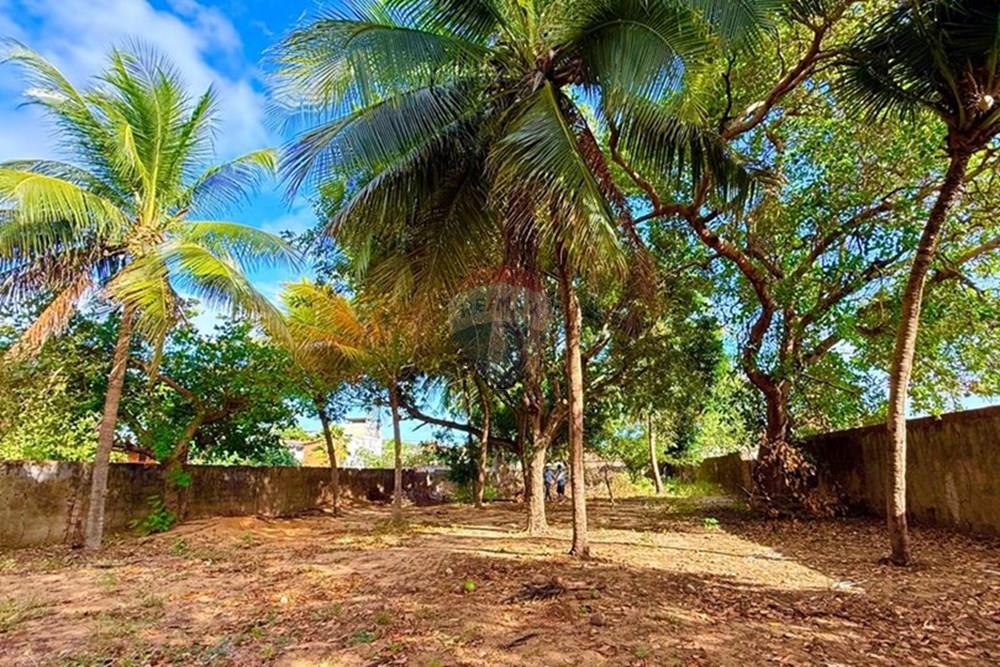 Terreno - Venda - Natal , Rio Grande do Norte - WhatsApp Image 2025-12-04 at 15.27.33 (2).jpeg - 720731001-2488