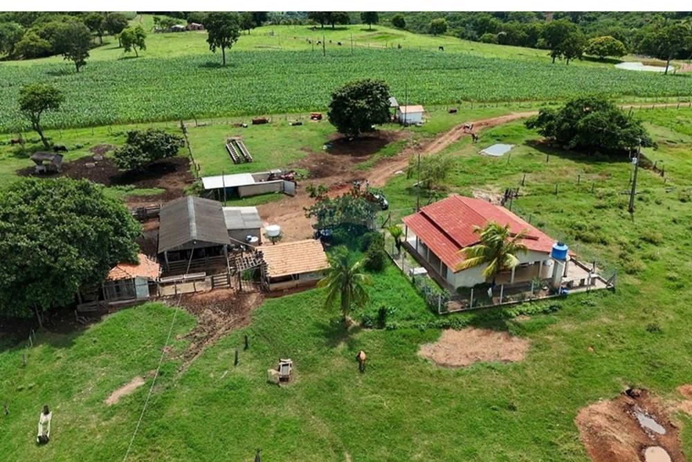 Chácara / Sítio / Fazenda - Venda - Juscimeira , Mato Grosso - WhatsApp Image 2026-02-03 at 16.05.13 (1).jpeg - 722201031-2