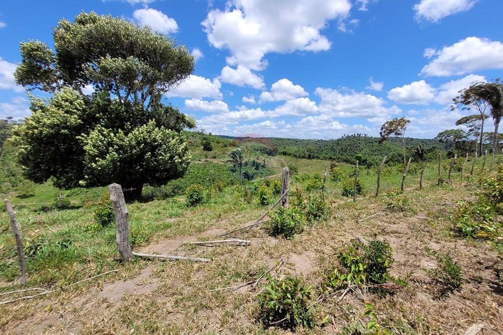 Chácara / Sítio / Fazenda - Venda - Areia , Paraíba - 20230207_105441.jpg - 722011055-52