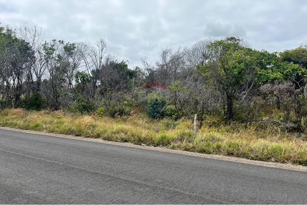 Terreno - Venda - Conde , Paraíba - Imagem do WhatsApp de 2025-12-12 à(s) 12.07.26_c4c813e8.jpg - 720871029-84