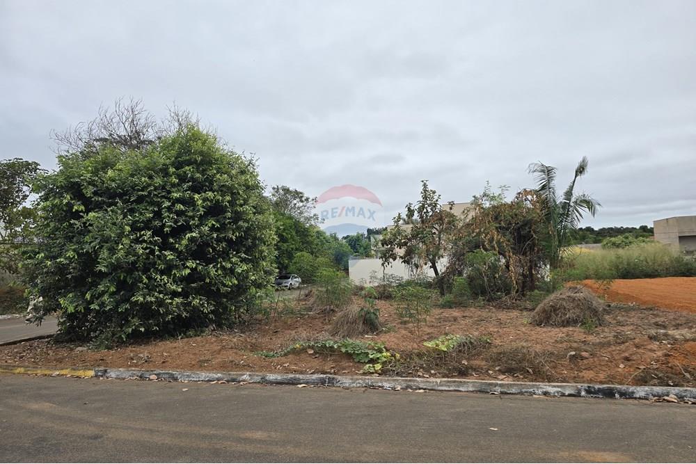 Terreno - Venda - Rondonópolis , Mato Grosso - WhatsApp Image 2025-07-08 at 14.26.43.jpeg - 720851064-29