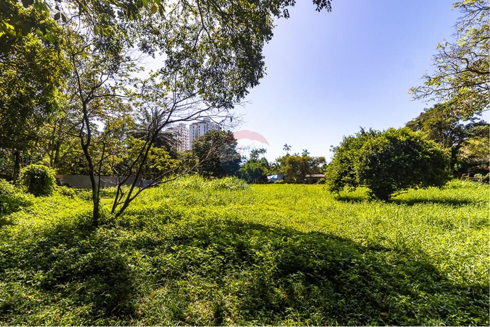 Terreno - Venda - Belém , Pará - IMG_2997.jpg - 720921007-118