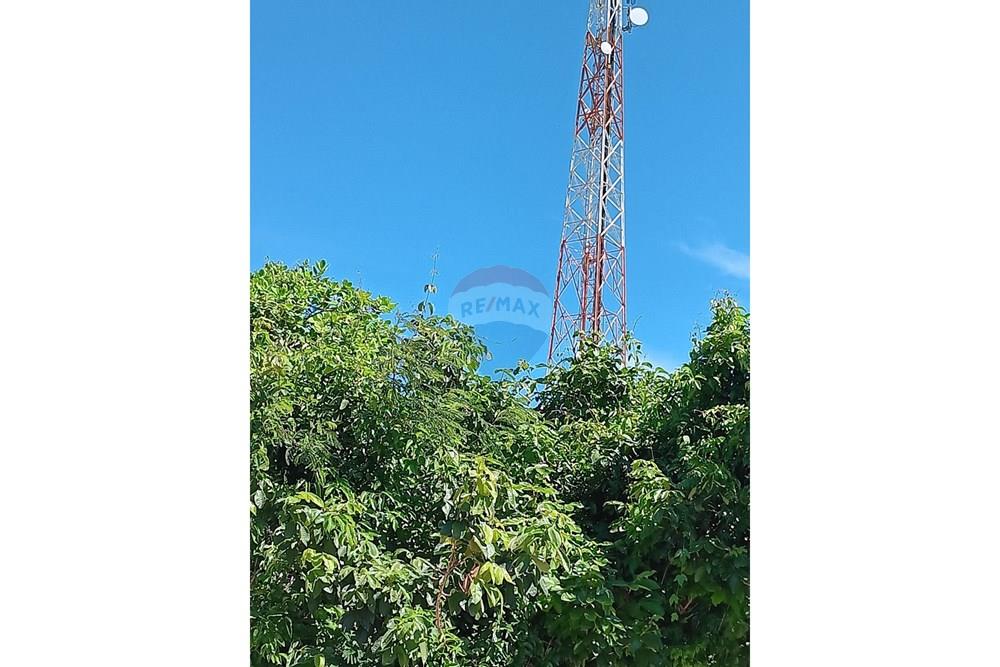 Terreno - Venda - Parnamirim , Rio Grande do Norte - WhatsApp Image 2026-03-24 at 11.35.52.jpeg - 720891130-392