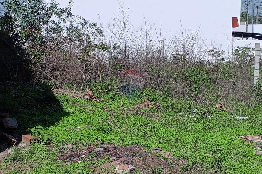 Terreno - Venda - Queimadas , Paraíba - IMG_20260216_084729_033.jpg.jpeg - 720291095-18