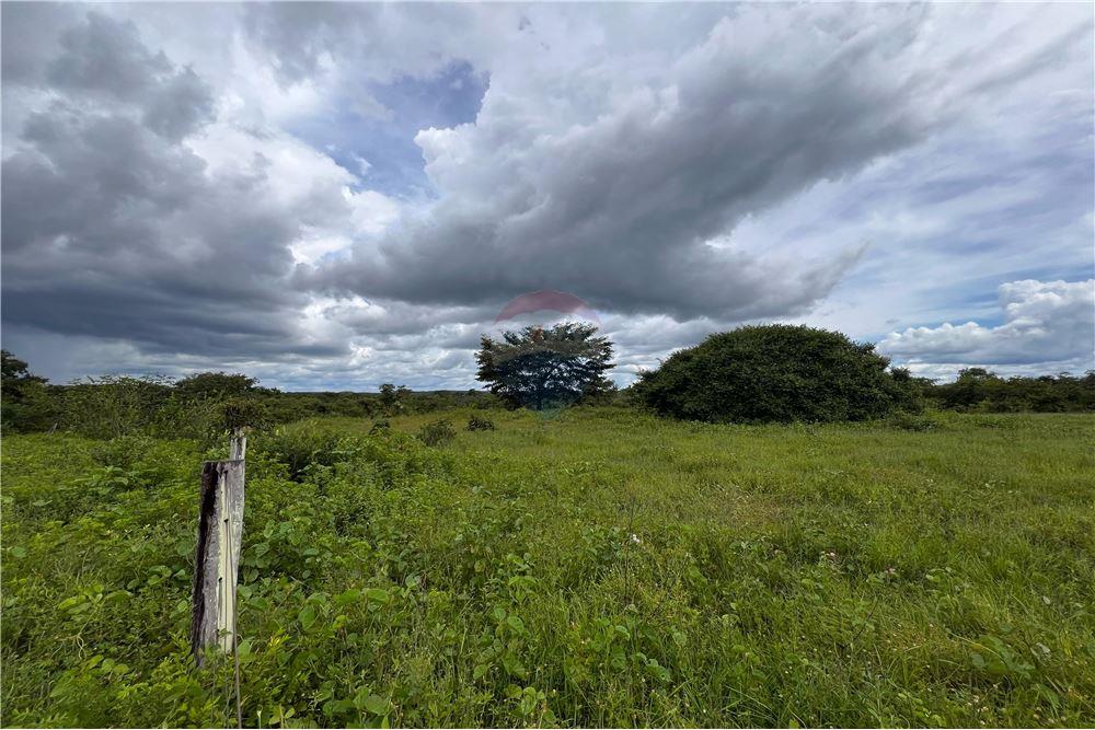 Fazenda - Venda - Carolina , Maranhão - 14 - 720991010-69
