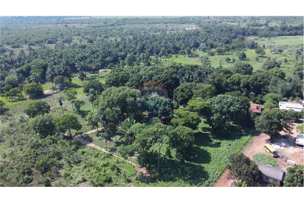 Chácara / Sítio / Fazenda - Venda - Porto Alegre do Norte , Mato Grosso - 7 - 720641031-14