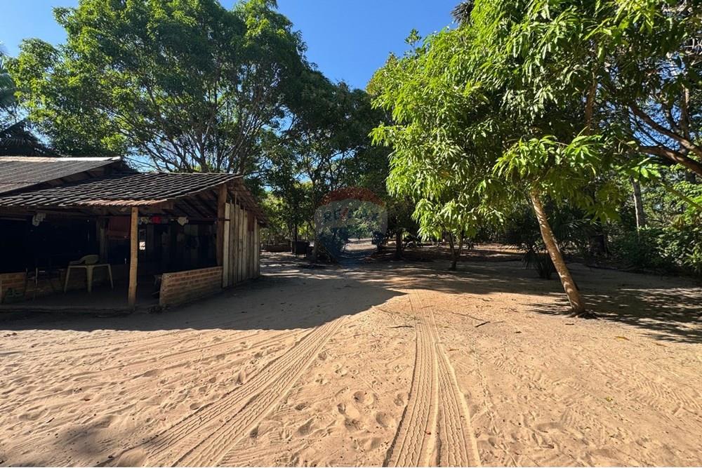 Chácara / Sítio / Fazenda - Venda - Babaçulândia , Tocantins - PHOTO-2025-09-02-09-36-04 (2).jpg - 720991008-76