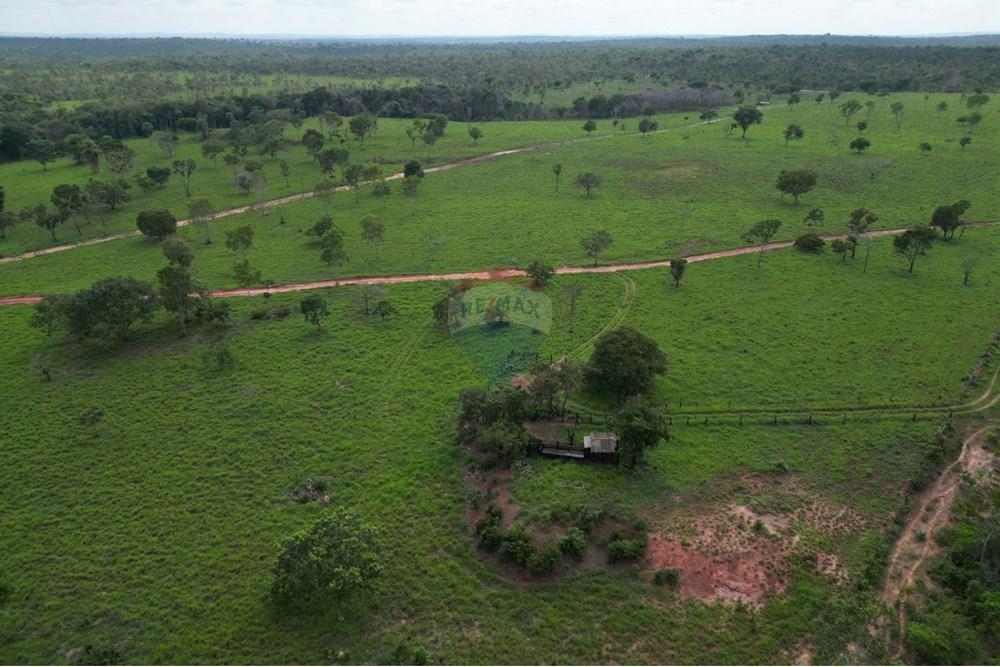 Fazenda - Venda - Araguaína , Tocantins - WhatsApp Image 2025-12-13 at 19.32.31 (4).jpeg - 720991010-81