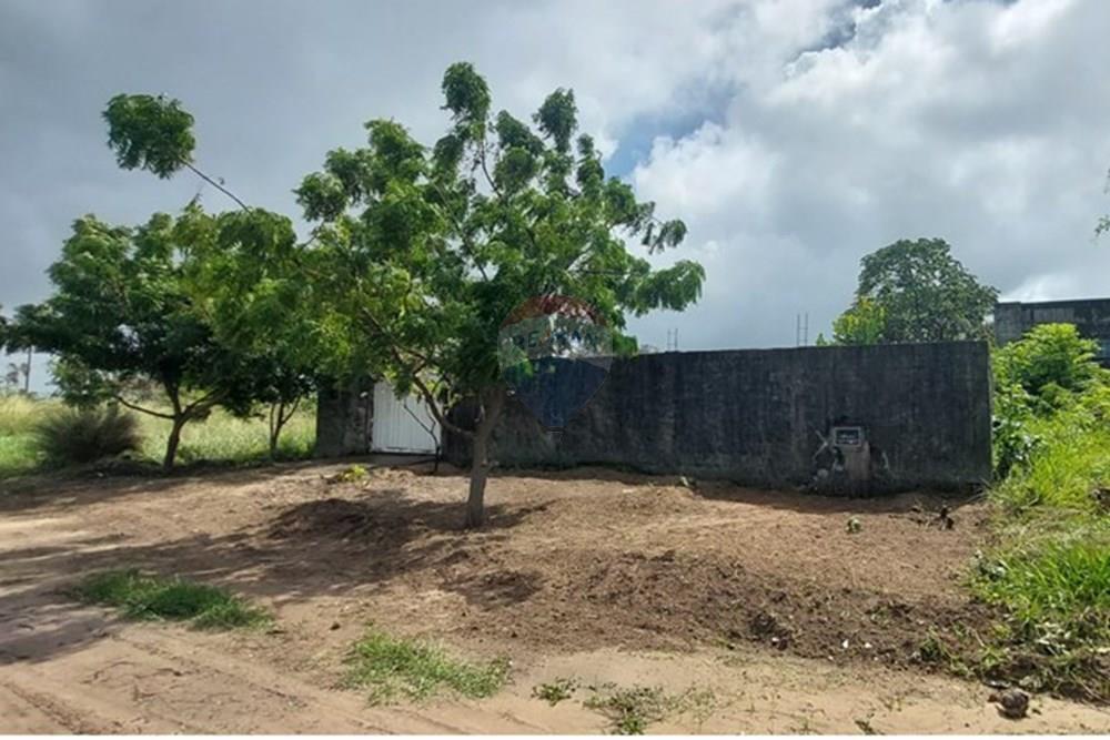 Terreno - Venda - Conde , Paraíba - IMG-20250619-WA0301.jpg - 720871031-86