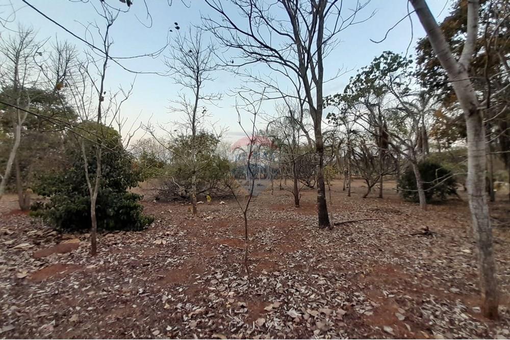 Chácara / Sítio / Fazenda - Venda - Goiânia , Goiás - WhatsApp Image 2025-10-31 at 16.47.35.jpeg - 722271015-38