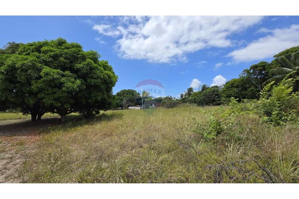 Terreno - Venda - Conde , Paraíba - 91e67d0a-7861-41e3-bbe1-4fbd6d439904.jpg - 720871015-136