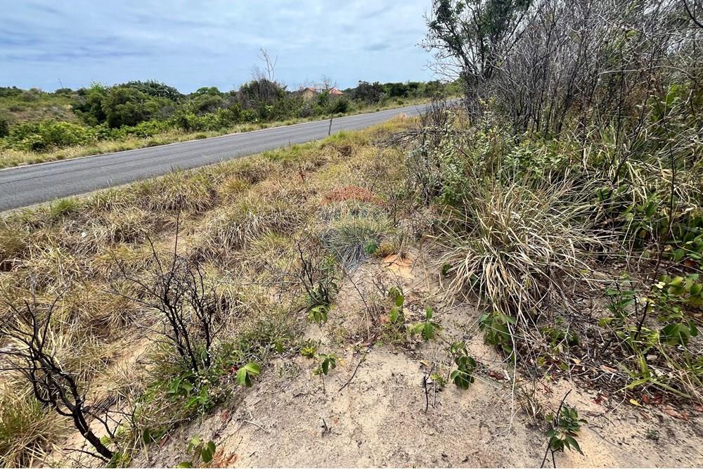 Terreno - Venda - Conde , Paraíba - Imagem do WhatsApp de 2025-12-12 à(s) 12.07.19_33a742ba.jpg - 720871029-84