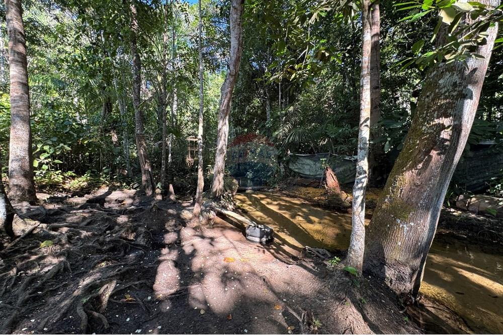 Chácara / Sítio / Fazenda - Venda - Babaçulândia , Tocantins - IMG_3124.JPG - 720991008-76