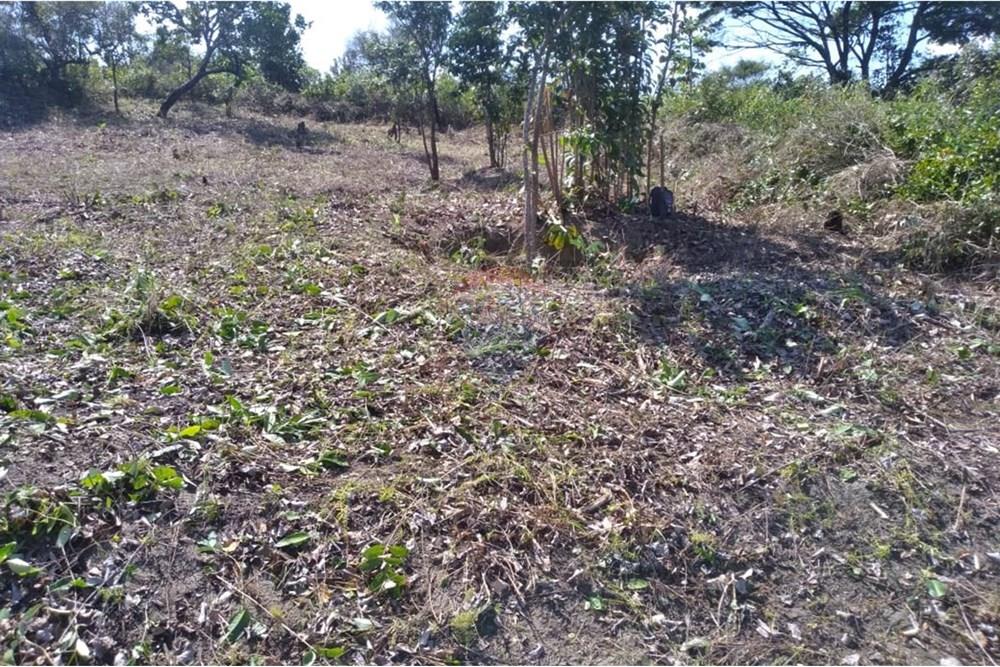 Terreno - Venda - Conde , Paraíba - 52483781-edb6-475d-b037-8cb067a45610.jpeg - 720471019-134