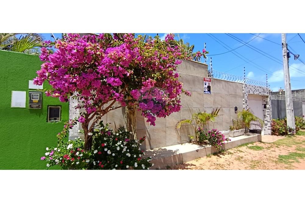 Casa - Alugar - Nísia Floresta , Rio Grande do Norte - WhatsApp Image 2025-12-23 at 14.56.33 (4).jpeg - 720891003-136