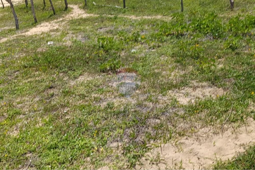 Terreno - Venda - Trairi , Ceará - WhatsApp Image 2026-03-26 at 11.14.14.jpeg - 722341005-65