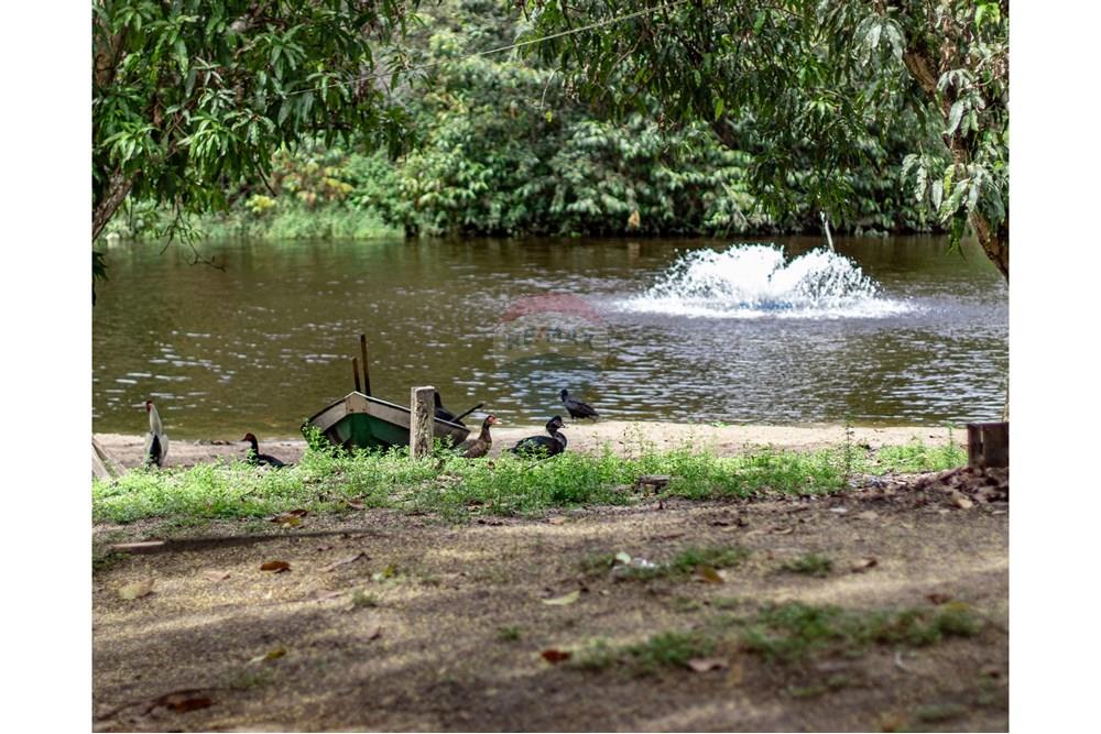 Woningbouw - Boerderij - Novo Airão , Amazonas - BR - IMG_7480.jpg - 720721055-29