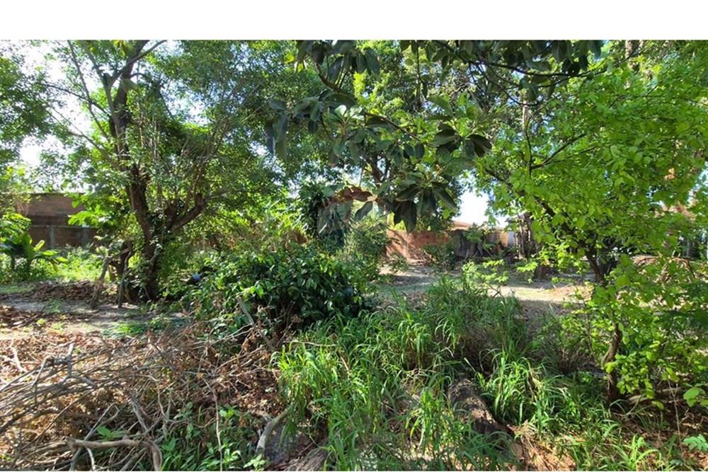 Terreno - Venda - Parnamirim , Rio Grande do Norte - WhatsApp Image 2026-03-02 at 10.05.12.jpeg - 720811040-40