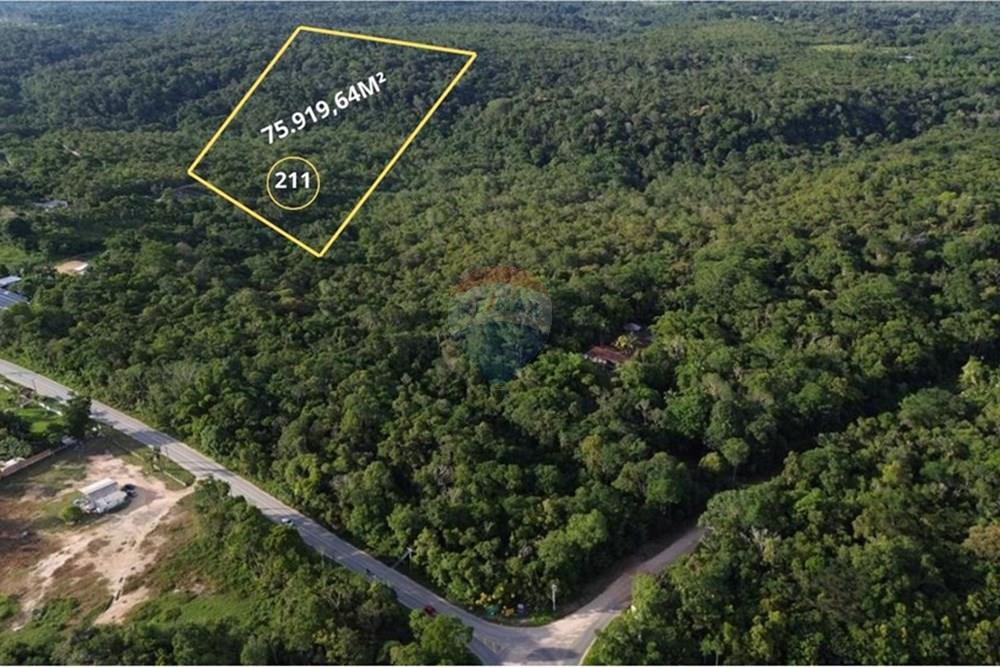 Terreno - Venda - Manaus , Amazonas - Imagem do WhatsApp de 2025-12-18 à(s) 17.14.02_69560920.jpg - 720721007-236