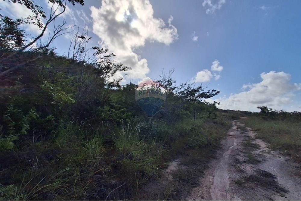 Terreno - Venda - Pitimbu , Paraíba - 533ac5f5-6143-4cfa-88d1-3b163c5114ee.jpg - 720871044-61