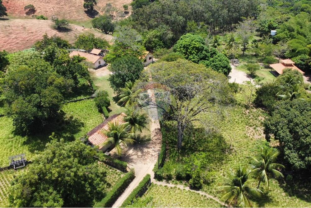 Chácara / Sítio / Fazenda - Venda - Conde , Paraíba - Photo_6619162_DJI_26_jpg_4198219_0_20211021111414_photo_original.jpg - 722011055-33