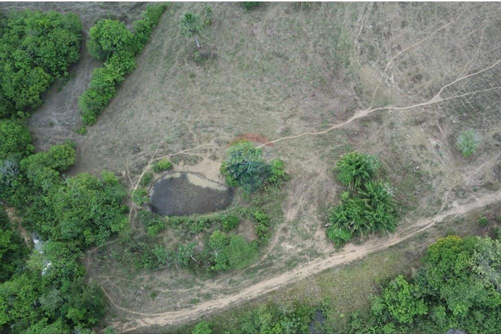 Chácara / Sítio / Fazenda - Venda - Dom Aquino , Mato Grosso - IMG_7869.JPG - 720611016-36