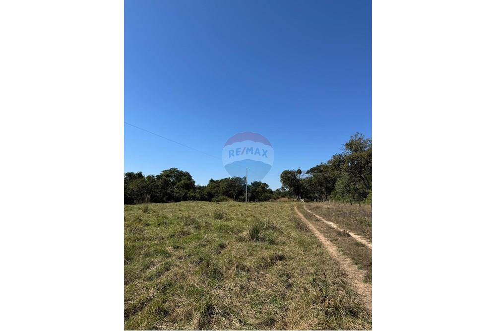 Fazenda - Venda - Santo Antônio do Leverger , Mato Grosso - 349a0227-ab96-404b-aaef-b096cfd5f1ac.jpeg - 720611035-41