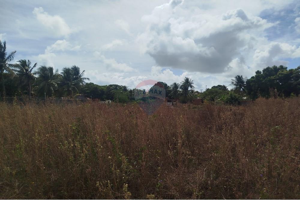 Terreno - Venda - Nísia Floresta , Rio Grande do Norte - WhatsApp Image 2024-11-22 at 21.32.42 (1).jpeg - 720891013-275