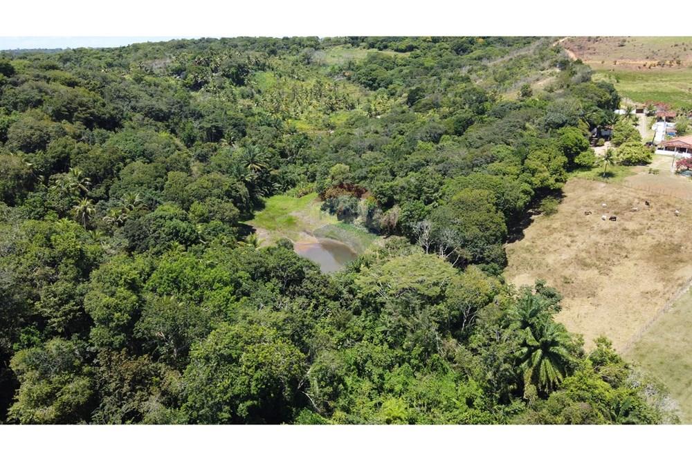 Chácara / Sítio / Fazenda - Venda - Conde , Paraíba - DJI_0230.JPG - 720871055-28