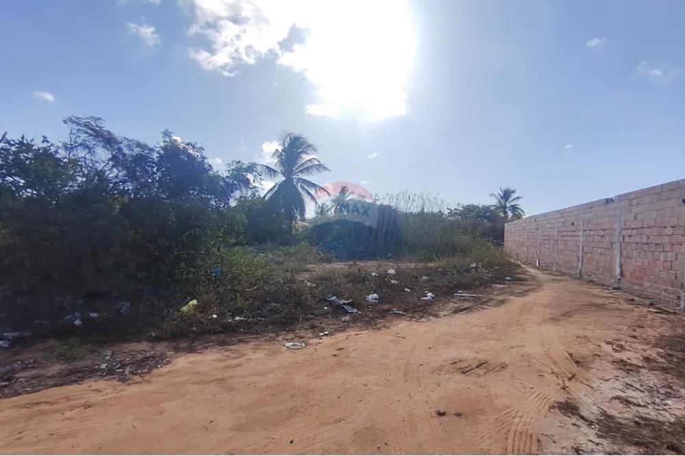 Terreno - Venda - Conde , Paraíba - d3c1a4e2-e325-4ab3-8c99-b6376c04ff3c.jpg - 720871056-42